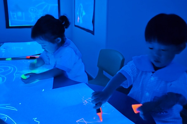 Collaboration in Facilitating Children's Learning