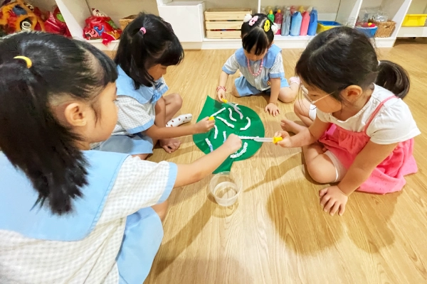 Igniting Curiosity Through Collaborative Play